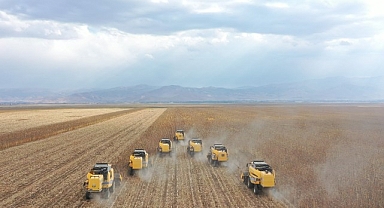 181 milyon TL gelir bekleniyor! 