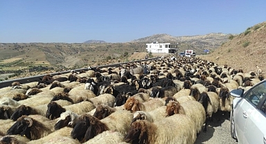 2 ay sürecek olan yolculuk başladı