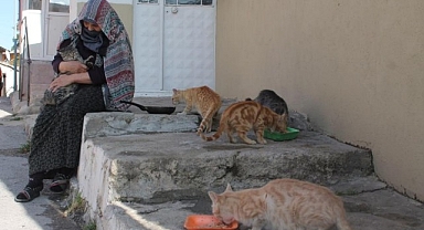 50 yıldır gözü gibi bakıyor