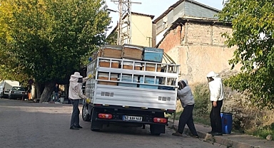 Mahalleyi istila ettiler... Vatandaşlar hastanelik oldu!