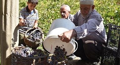 Asırlardır doğal yollarla yapılıyor