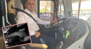 Bir anda direksiyona saldırdı! 26 kişi ölümden döndü