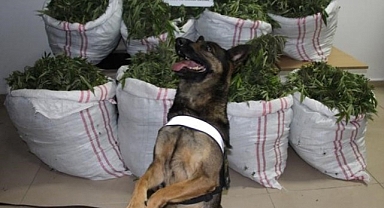 Bir haftada 112 kilo ele geçirildi