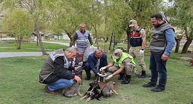 Can dostlarımız güvende!