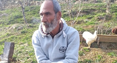Ceviz silkelemek için çıkmıştı! Hayatını kaybetti...