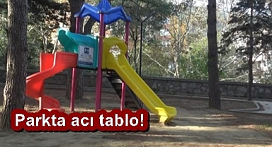 Çocuk parkında asılı bulundu!