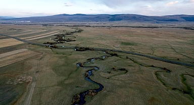 Doğanın