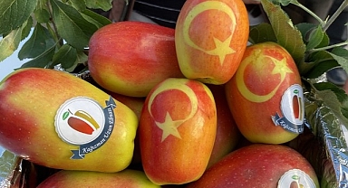 En iyi uzun elmalar yarıştı