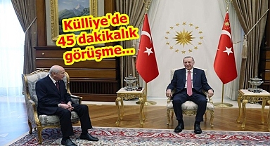 Erdoğan, Bahçeli'yi kabul etti!