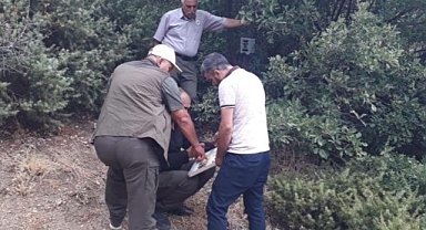 Fotokapanlarda bakım zamanı...
