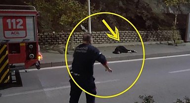Genç kadın kendini kayalıklardan boşluğa bıraktı!