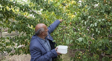 Görenler şaşıp kalıyor!