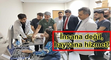 İnsana değil, hayvana hizmet!