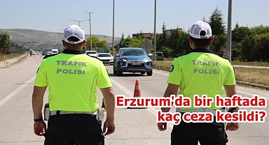 İşte Erzurum'un trafik karnesi