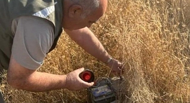 Kaçak avcılar cezadan kaçamadı!