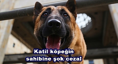 Katil köpeğin sahibine şok ceza!