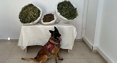 Kilolarca uyuşturucu ele geçirildi