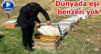 Mili servet ama hak ettiği yerde değil!