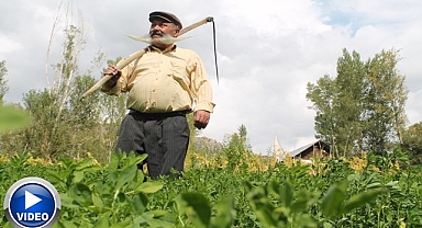 Ne kalp krizi ne ayı dinledi! Sıhhati böyle buldu!