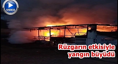 Park halinde bir anda alev aldı!