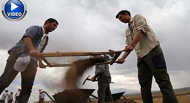 Tarihi kazıda 700 metal obje bulundu