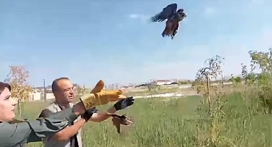 Tedavi sonrası artık özgürler!