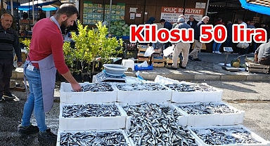 Tezgahlarda hamsi bolluğu