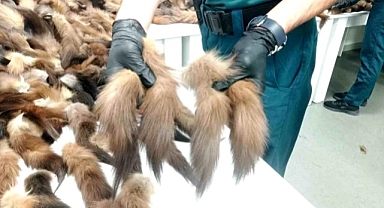 Türkiye'ye sokacaklardı, havalimanında enselendiler!