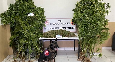 Uyuşturucu operasyonunda tutuklandılar