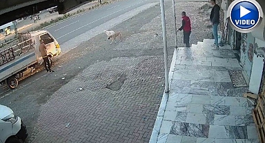 Yemeğini paylaşmak istemedi, böyle kafa tuttu!