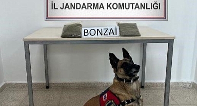 Yolcu otobüsünde ele geçirildi
