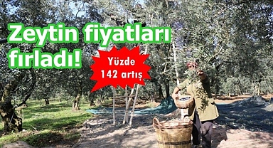 Zeytin fiyatları fırladı!