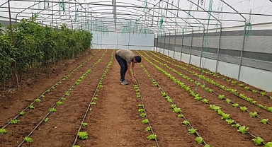 16 milyon TL gelir elde ediliyor