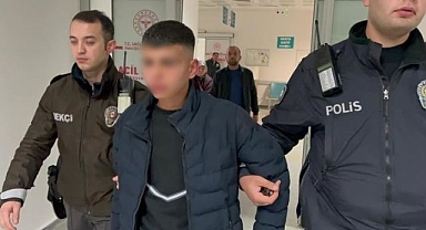 Abisini bıçakladı, 