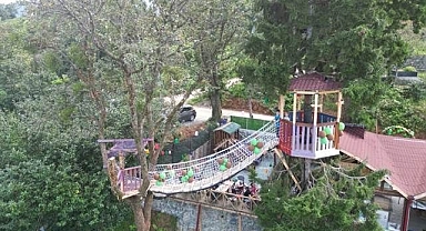Ağaçlara kıyamayınca çözümü böyle buldu