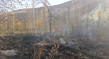 Asırlık ceviz ağaçları küle döndü!