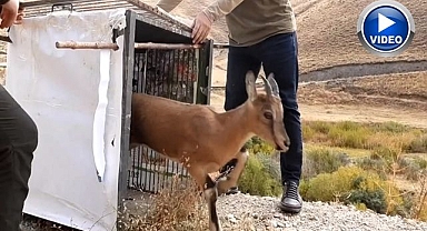 Asker 2 ay tedavi etti