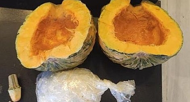 Bal kabağından zula çıktı!