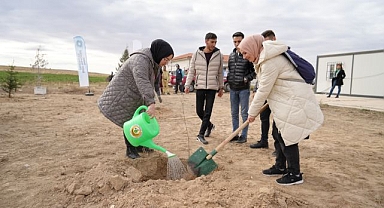 Bal ormanı için harekete geçtiler