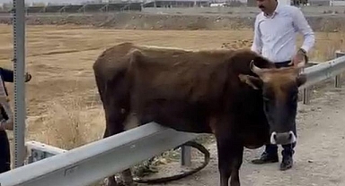 Bariyerde mahsur kaldı!