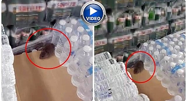 Zincir Markette mide bulandıran görüntü