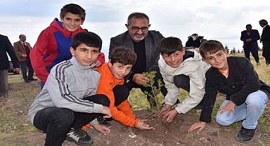 Çam fidanları toprakla buluştu!