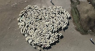Dakikalarca durmadan döndüler! Akıllara o gizemli olay geldi
