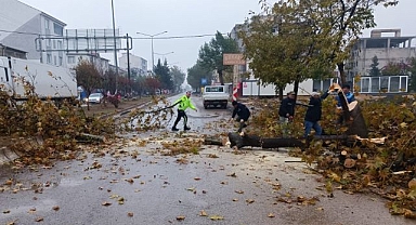 Devrilmek üzereyken polis yetişti! 