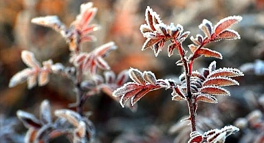 Doğu'da kış yüzünü gösterdi...