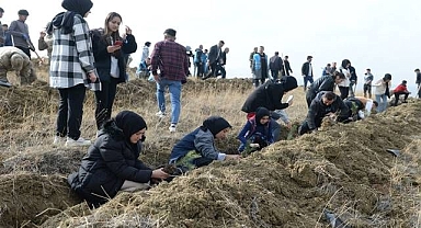 Erzurum'da binlerce fidan toprakla buluştu