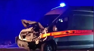 Erzurum'da feci kaza! Ambulans hayvanlara çarptı