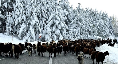 Erzurum'da göçerlerin çileli dönüş yolculuğu başladı