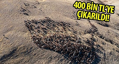 Erzurum'da üreticiye müjde!