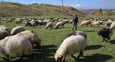 Erzurum'dan göç göç oldular!